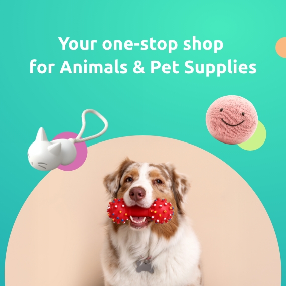 Promo grid image